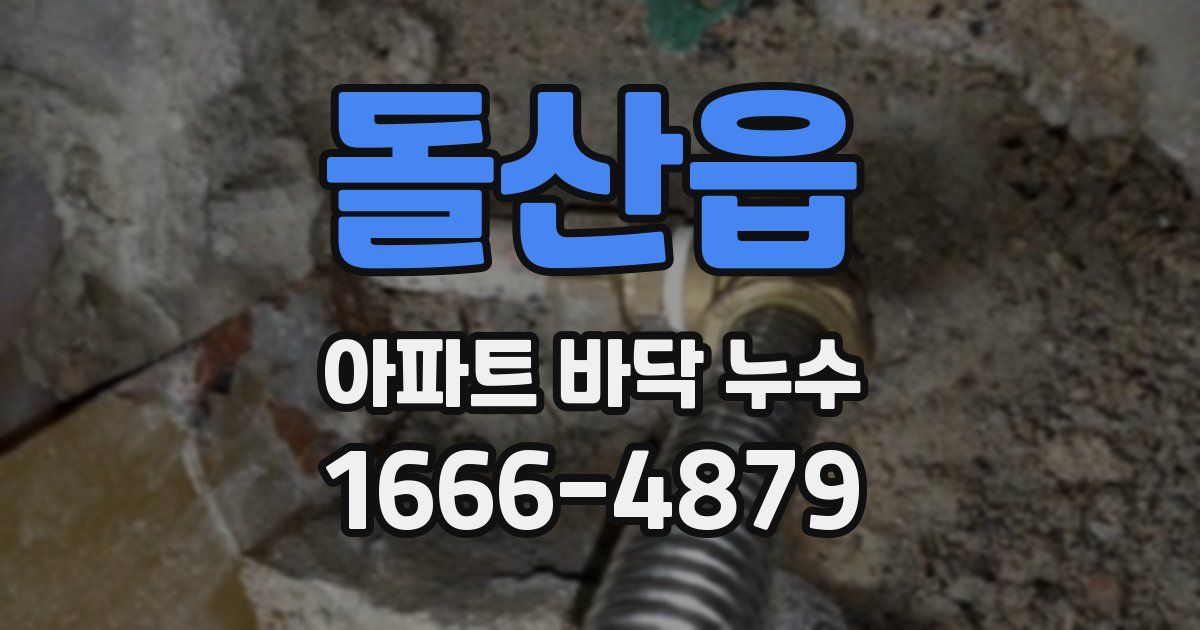 돌산읍 아파트 바닥 누수