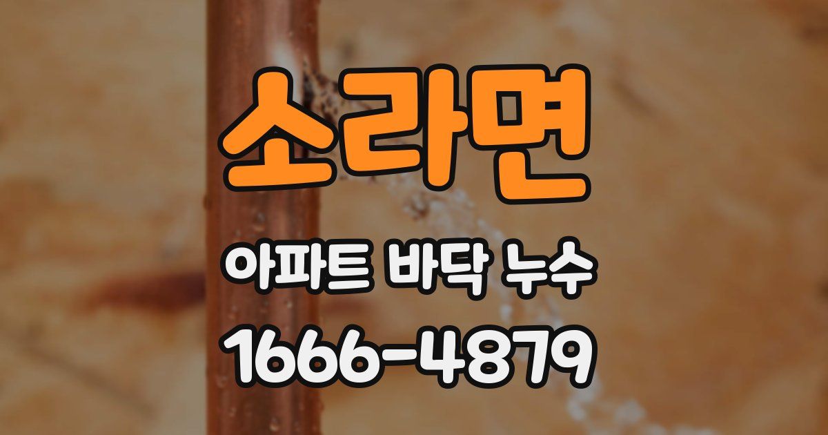 소라면 아파트 바닥 누수