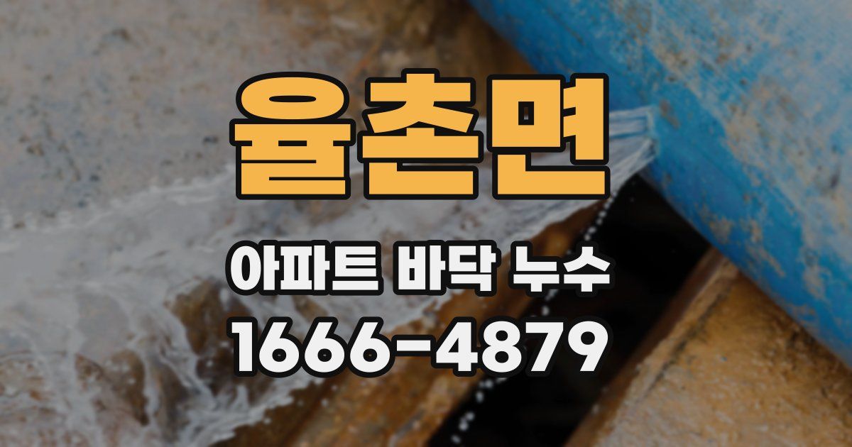 율촌면 아파트 바닥 누수