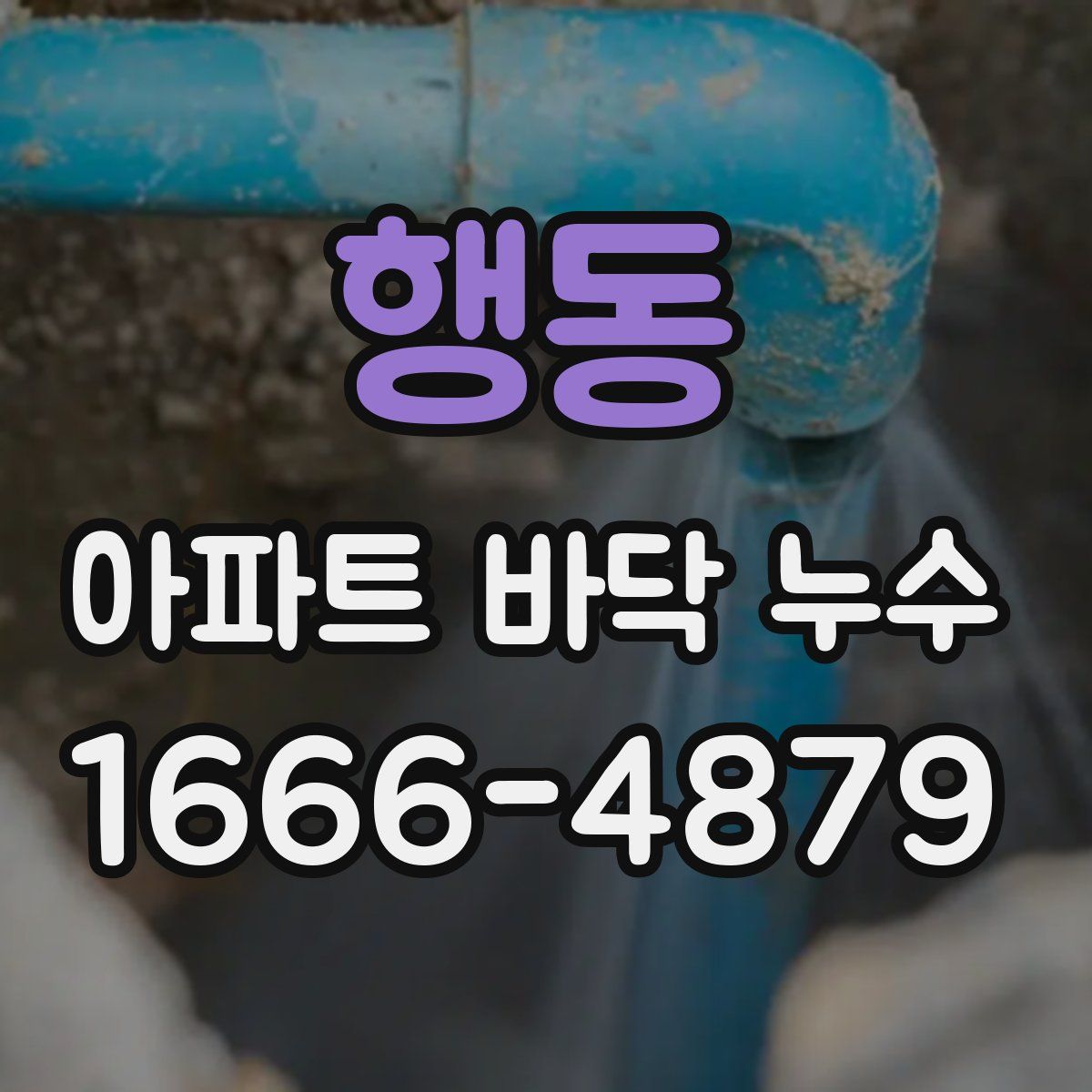 행동 아파트 바닥 누수