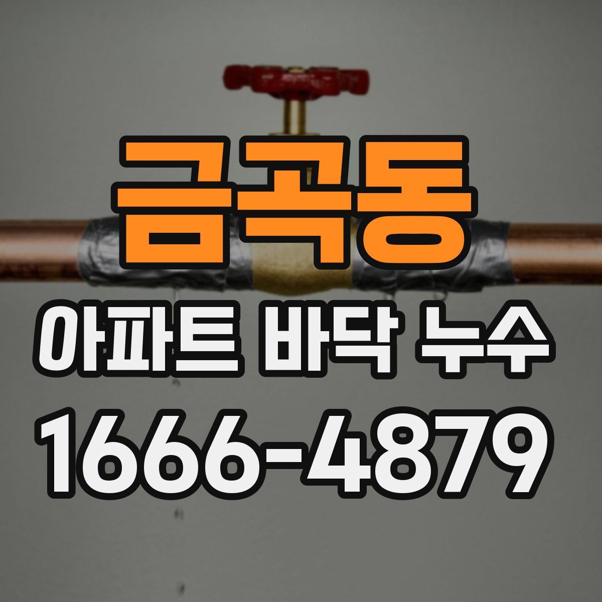 금곡동 아파트 바닥 누수