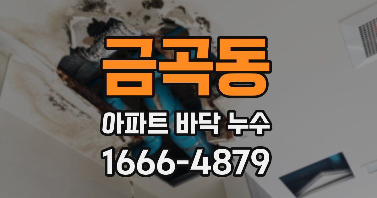 금곡동 아파트 바닥 누수