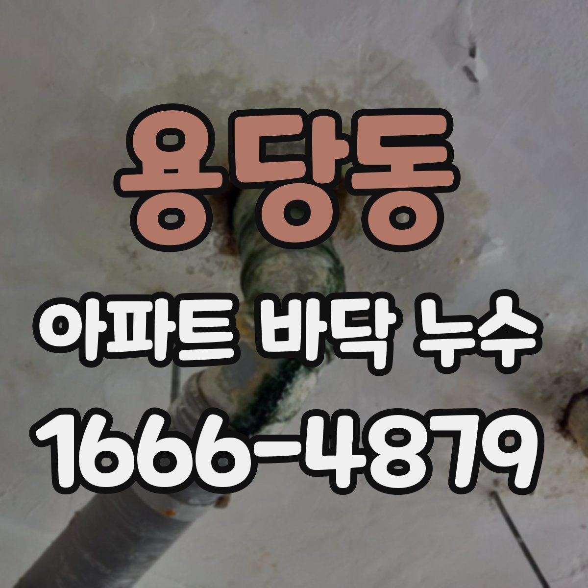 용당동 아파트 바닥 누수