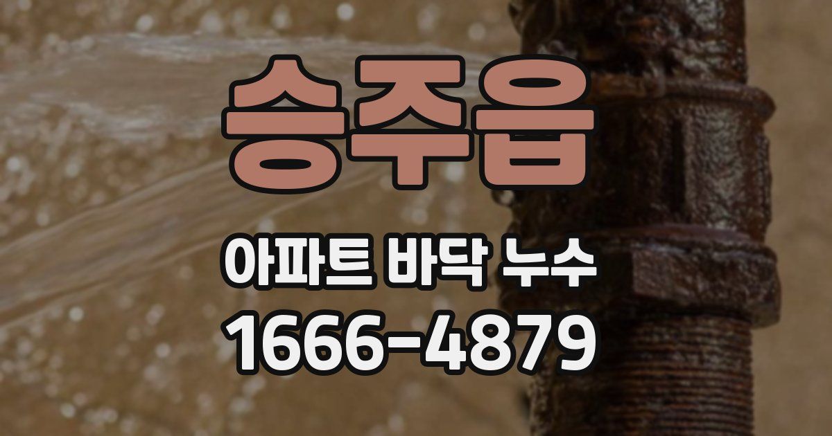 승주읍 아파트 바닥 누수