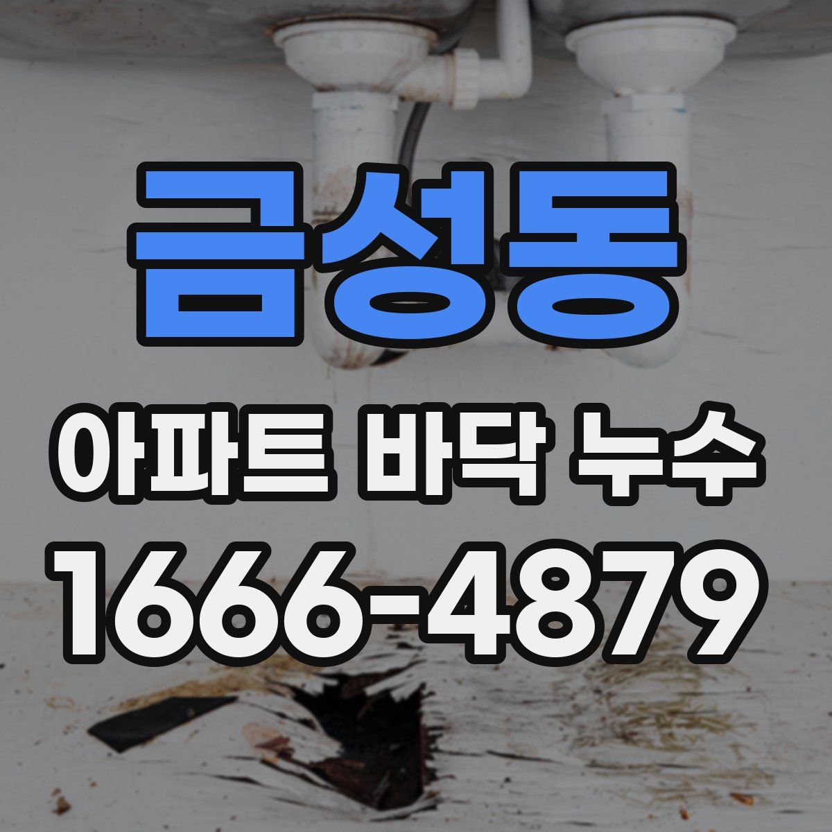 금성동 아파트 바닥 누수