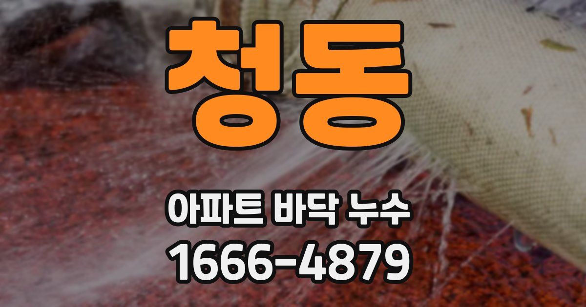 청동 아파트 바닥 누수