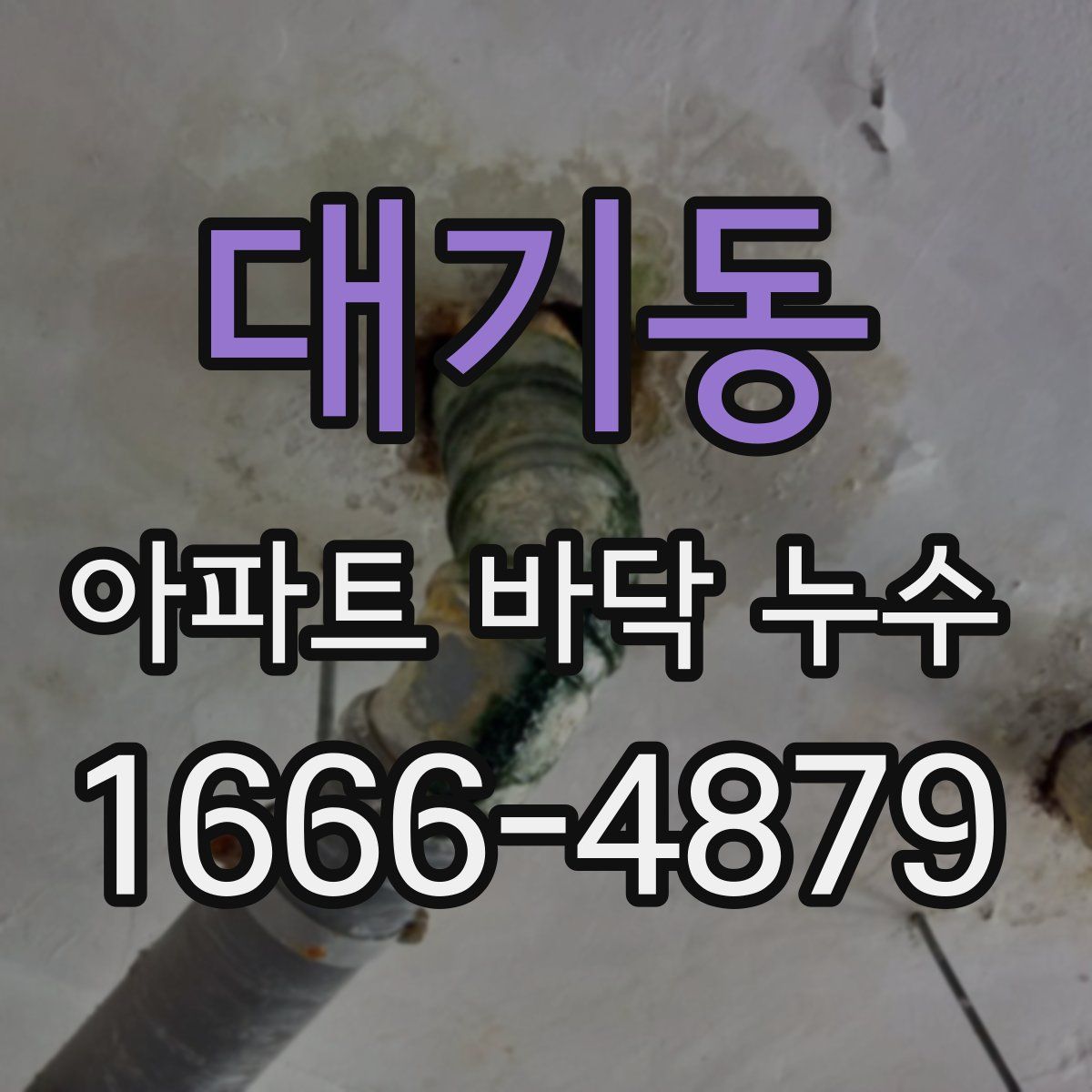 대기동 아파트 바닥 누수
