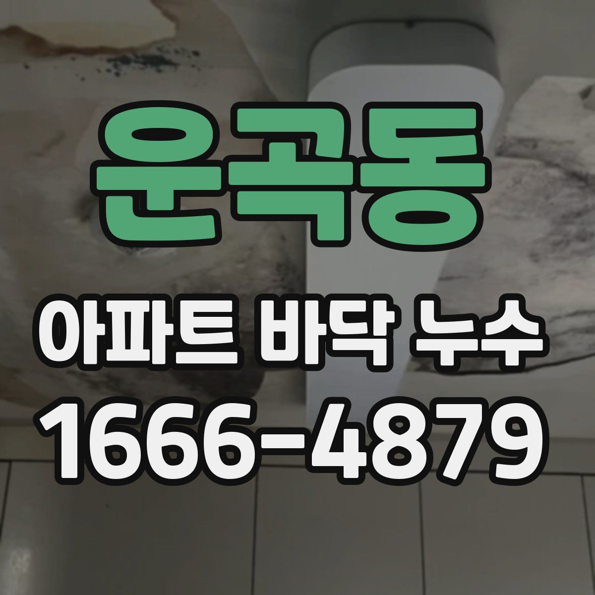 운곡동 아파트 바닥 누수