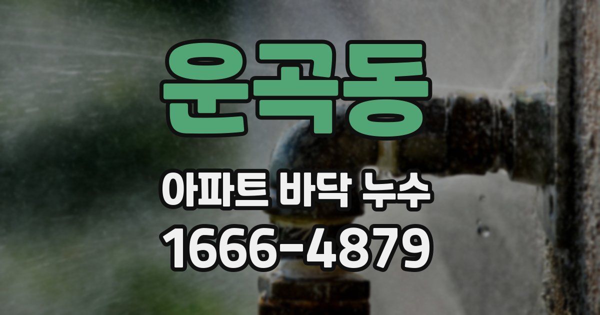 운곡동 아파트 바닥 누수