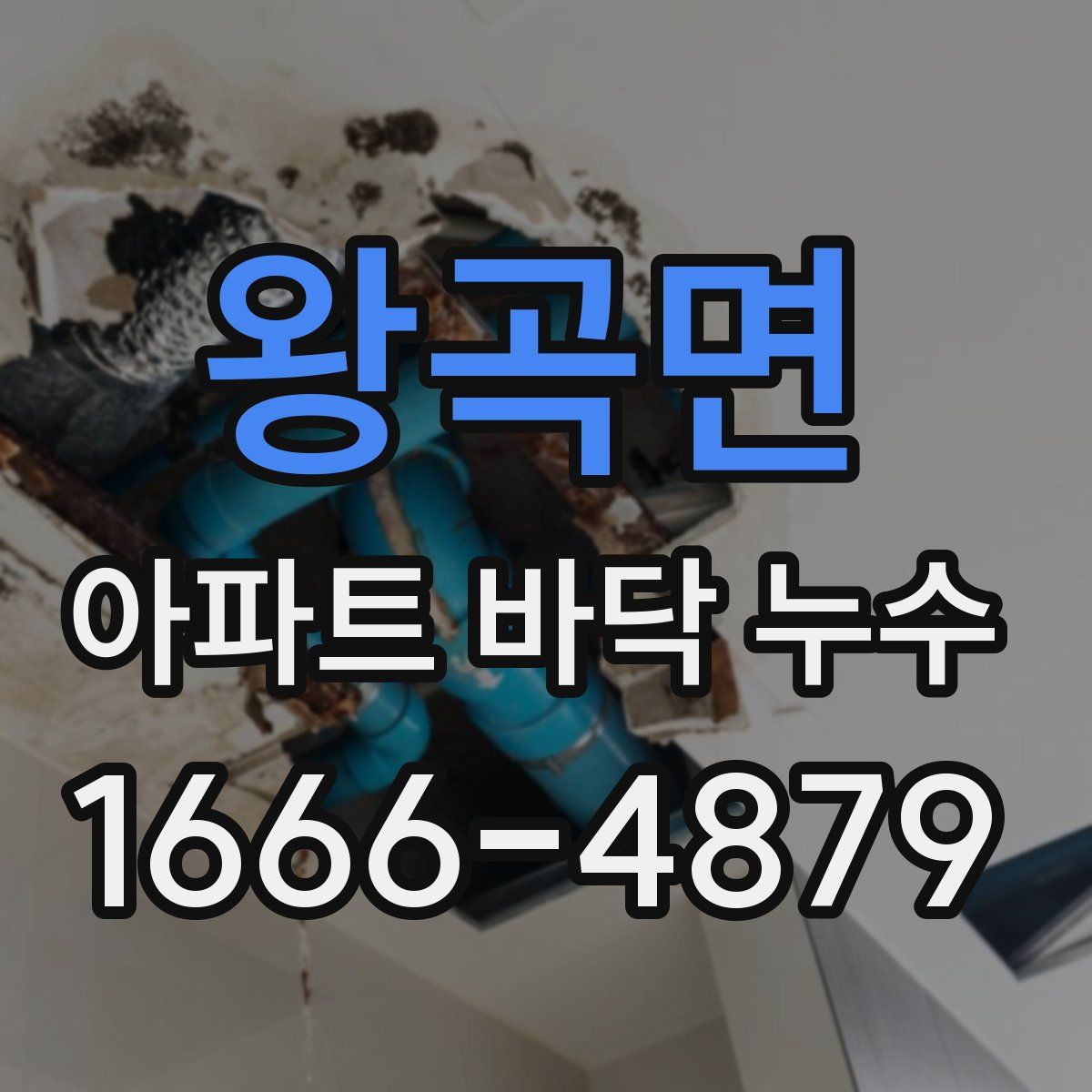 왕곡면 아파트 바닥 누수