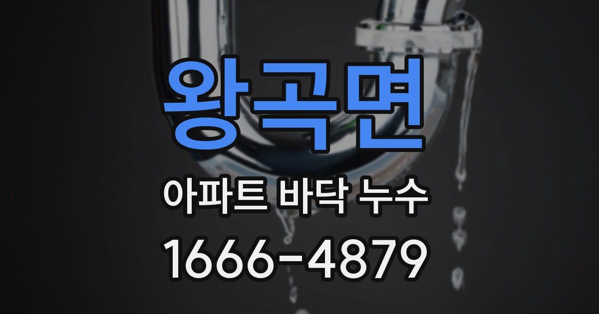 왕곡면 아파트 바닥 누수