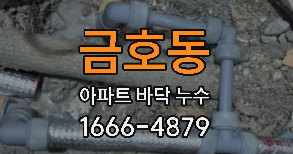 금호동 아파트 바닥 누수
