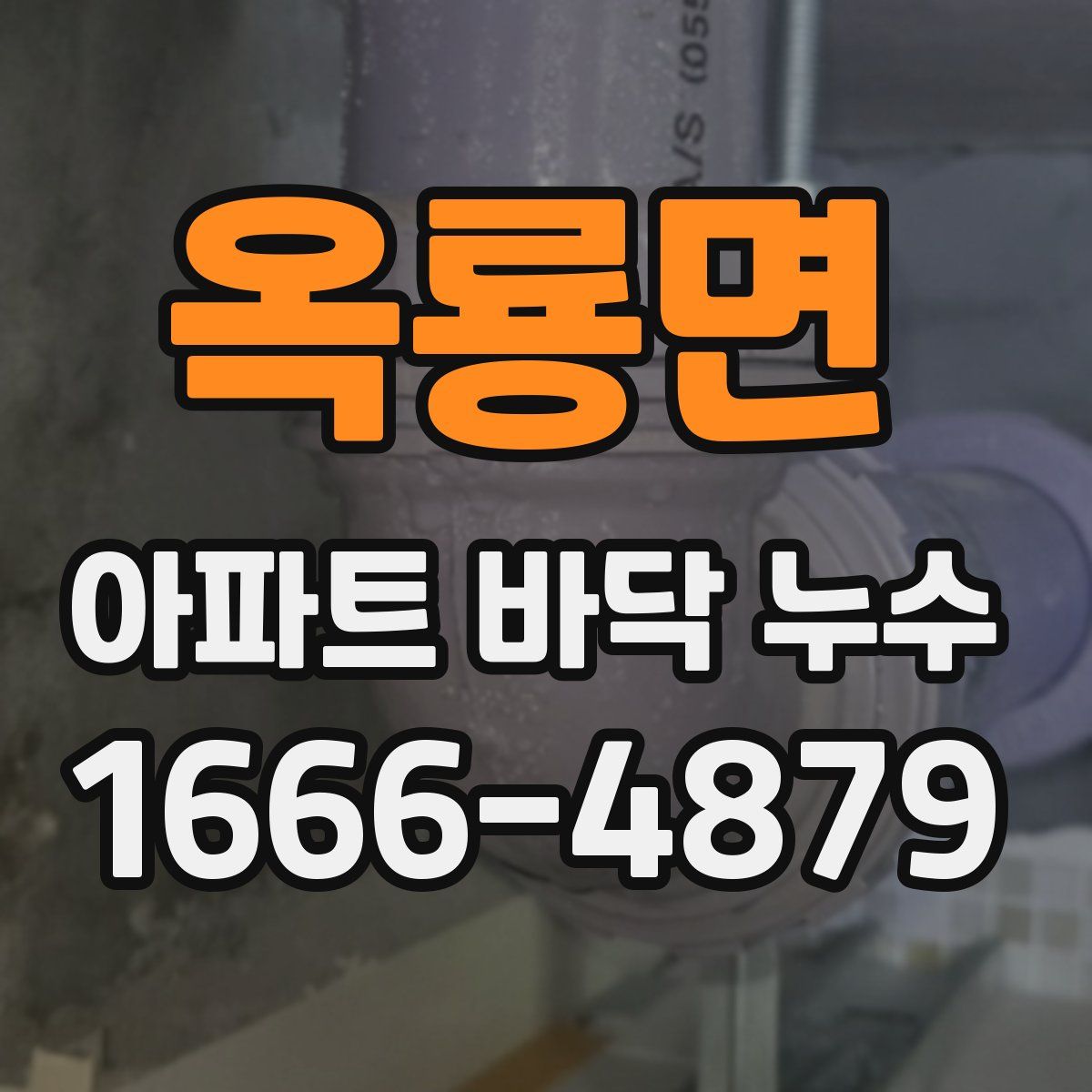 옥룡면 아파트 바닥 누수