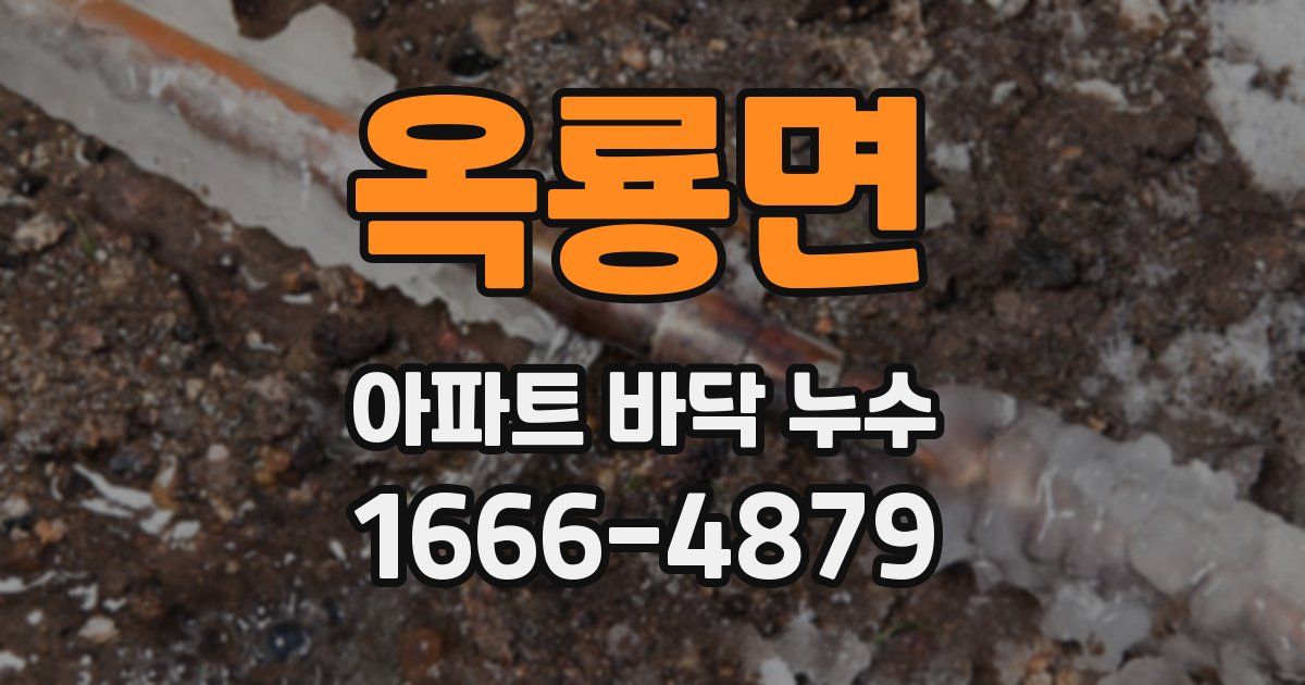 옥룡면 아파트 바닥 누수