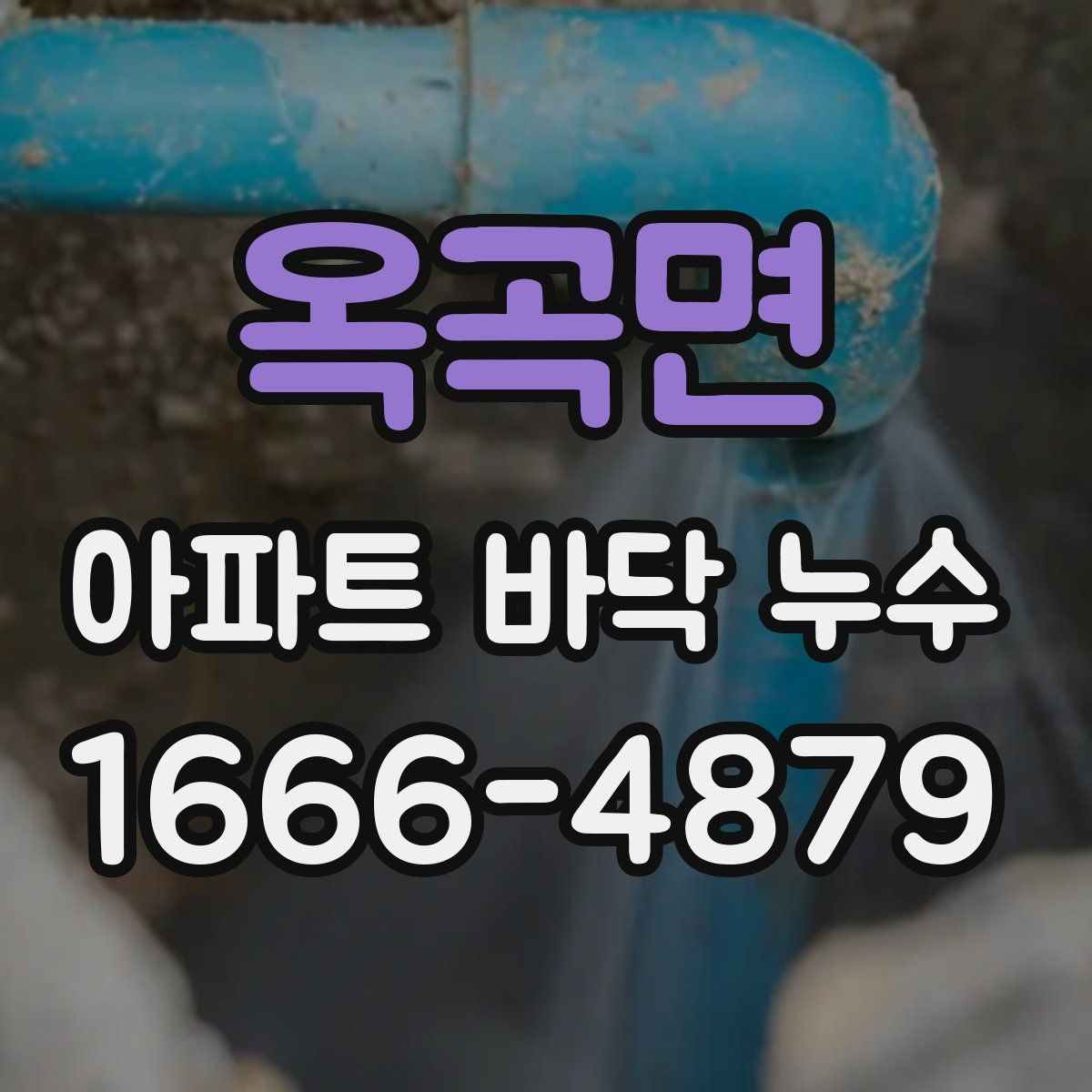 옥곡면 아파트 바닥 누수
