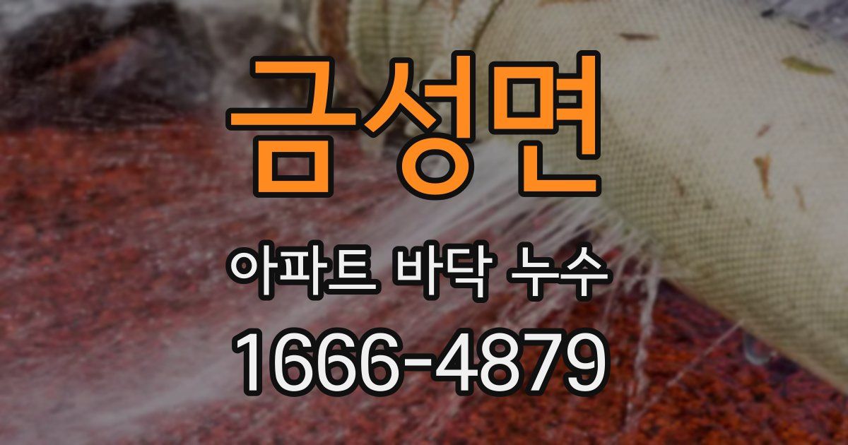 금성면 아파트 바닥 누수