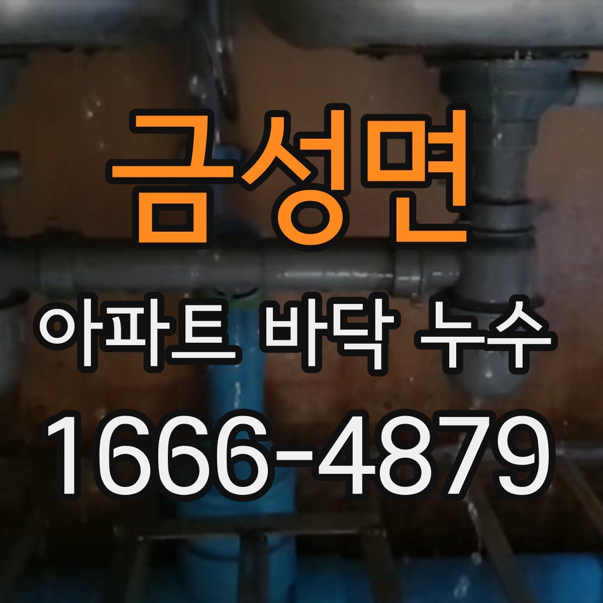 금성면 아파트 바닥 누수
