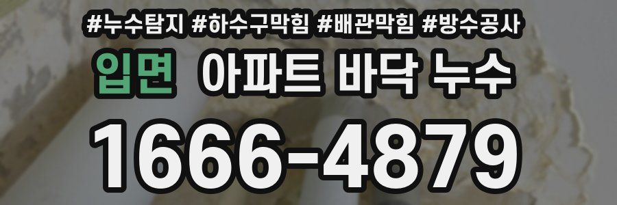 입면 아파트 바닥 누수