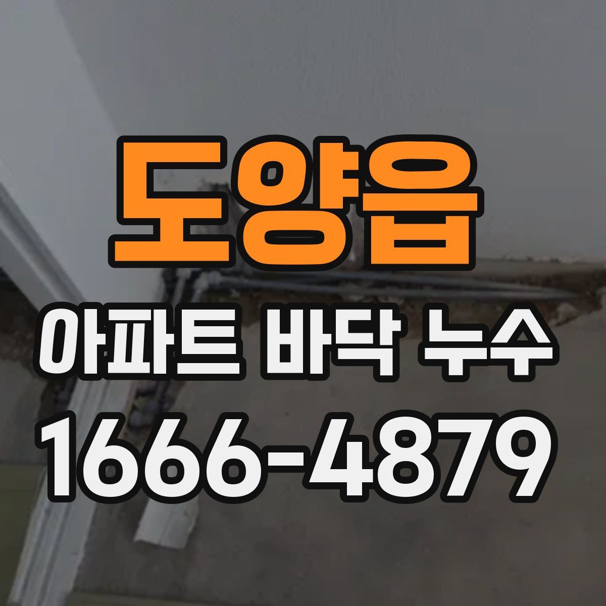 도양읍 아파트 바닥 누수