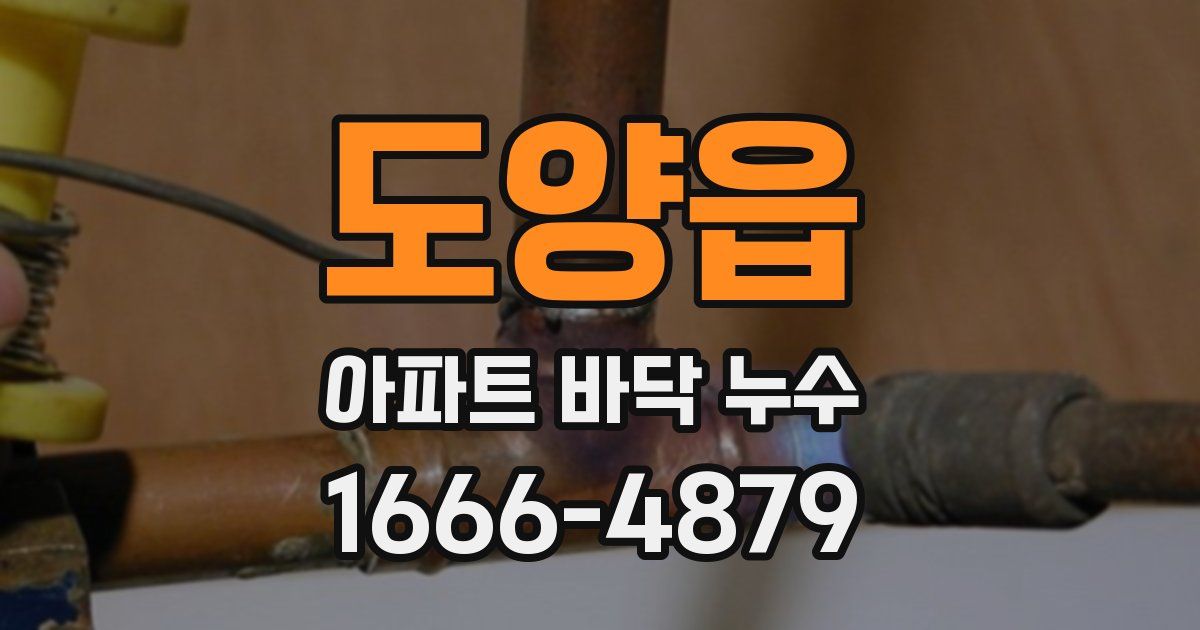 도양읍 아파트 바닥 누수