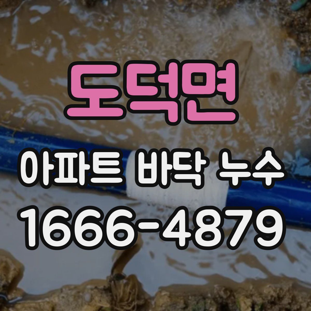 도덕면 아파트 바닥 누수
