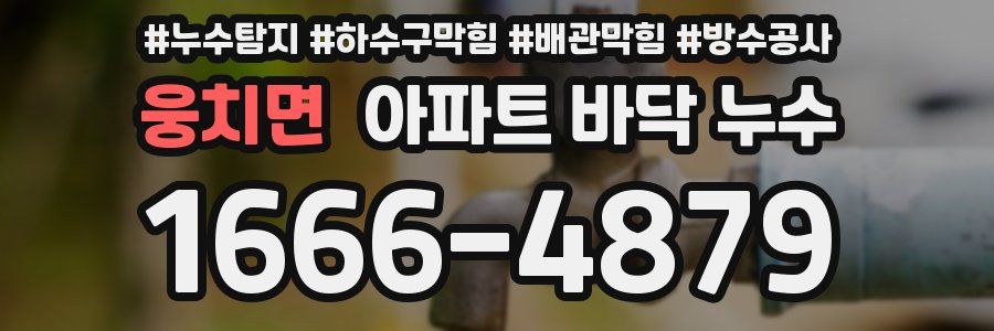 웅치면 아파트 바닥 누수