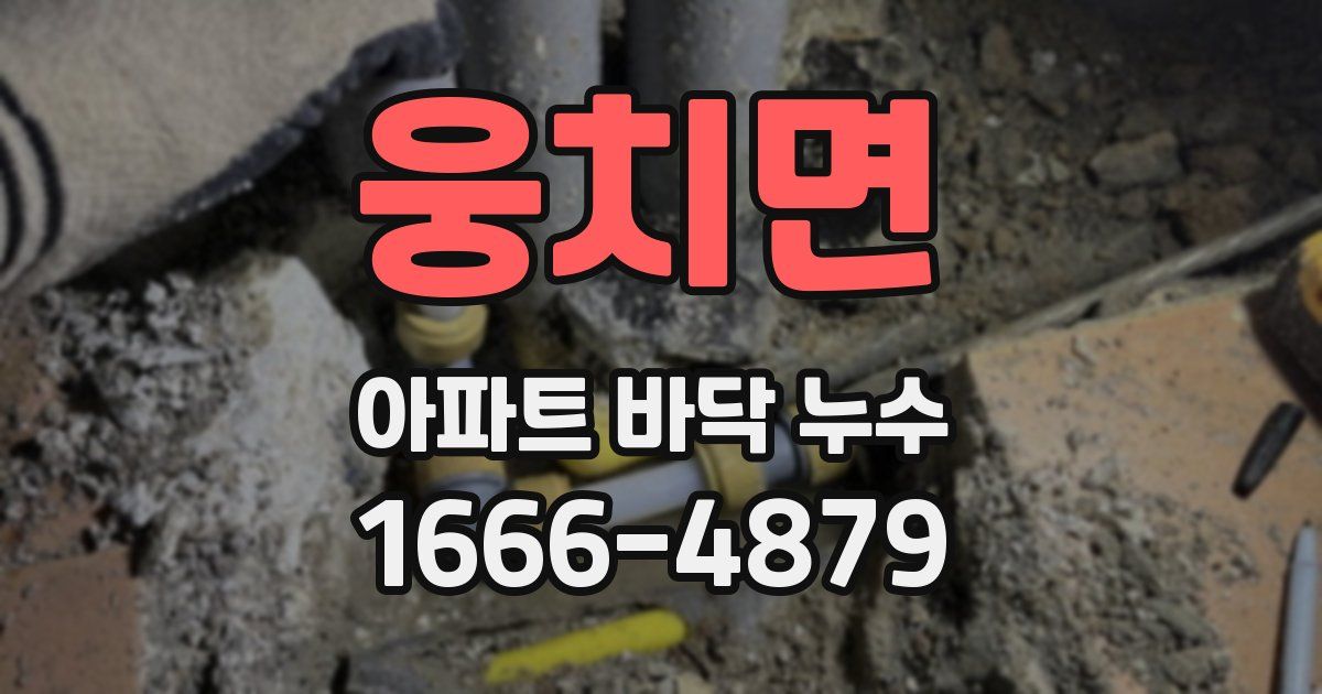 웅치면 아파트 바닥 누수