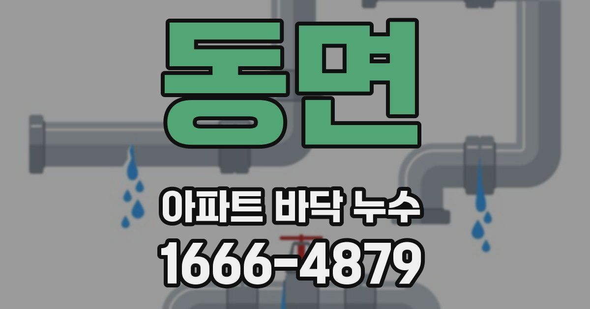 동면 아파트 바닥 누수