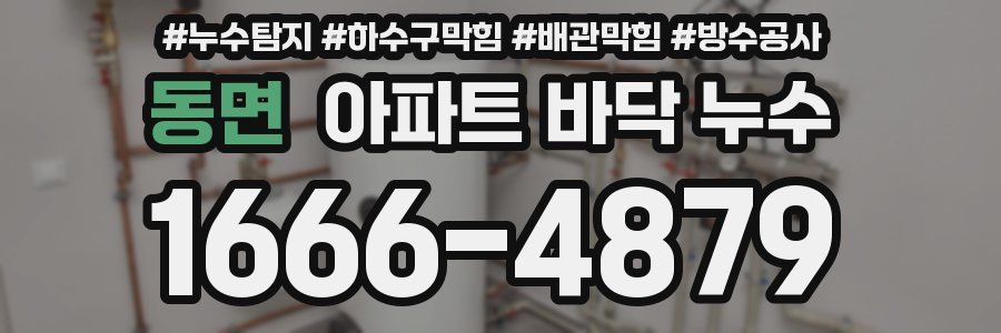 동면 아파트 바닥 누수