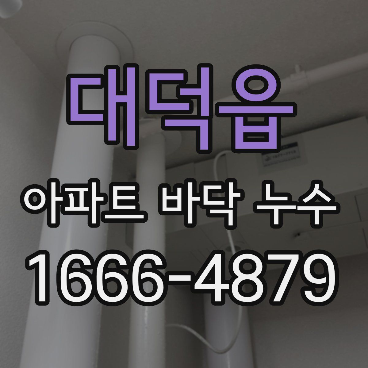대덕읍 아파트 바닥 누수