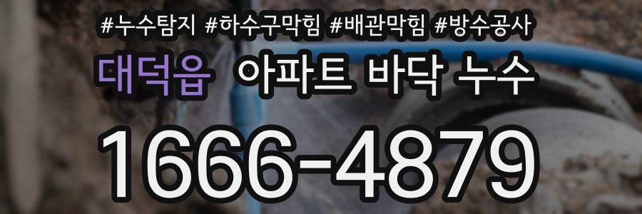 대덕읍 아파트 바닥 누수
