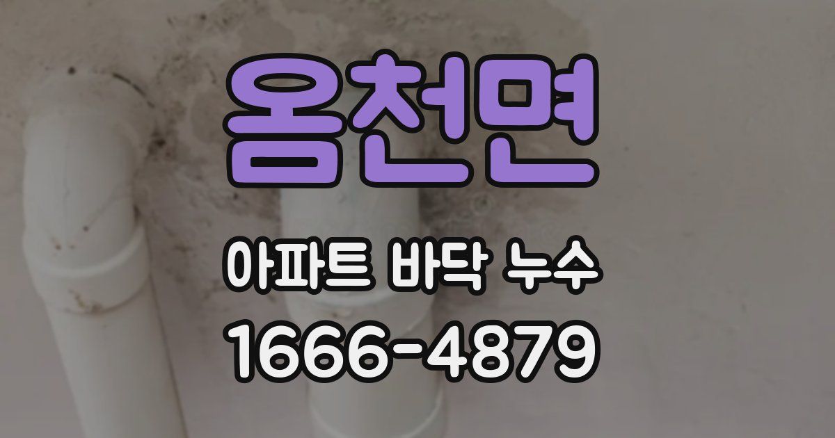 옴천면 아파트 바닥 누수