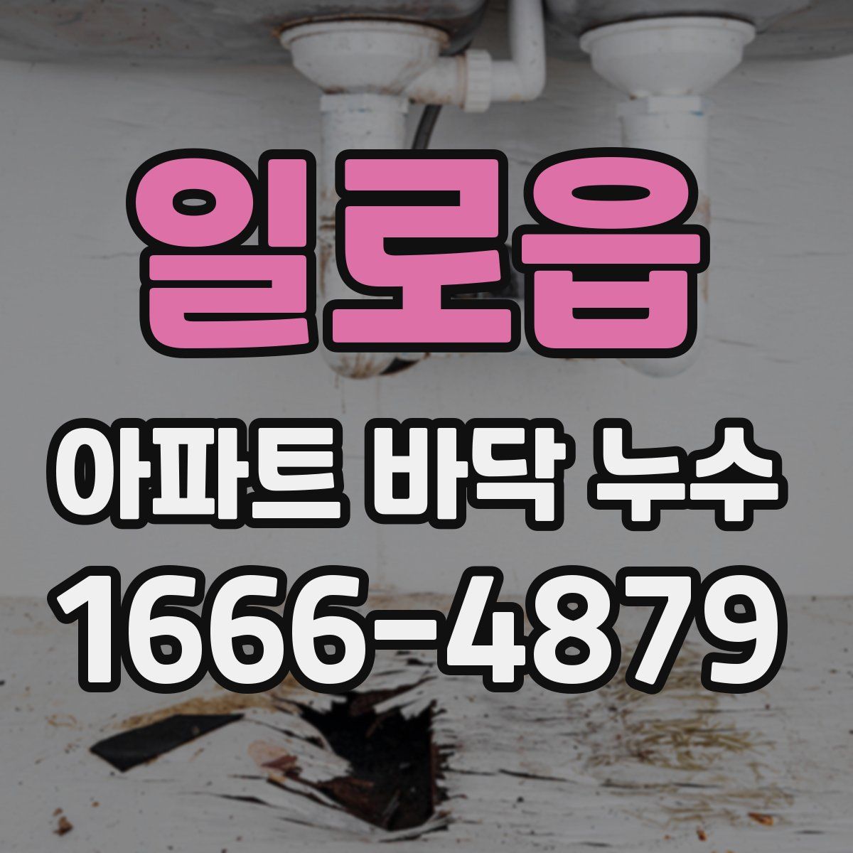 일로읍 아파트 바닥 누수