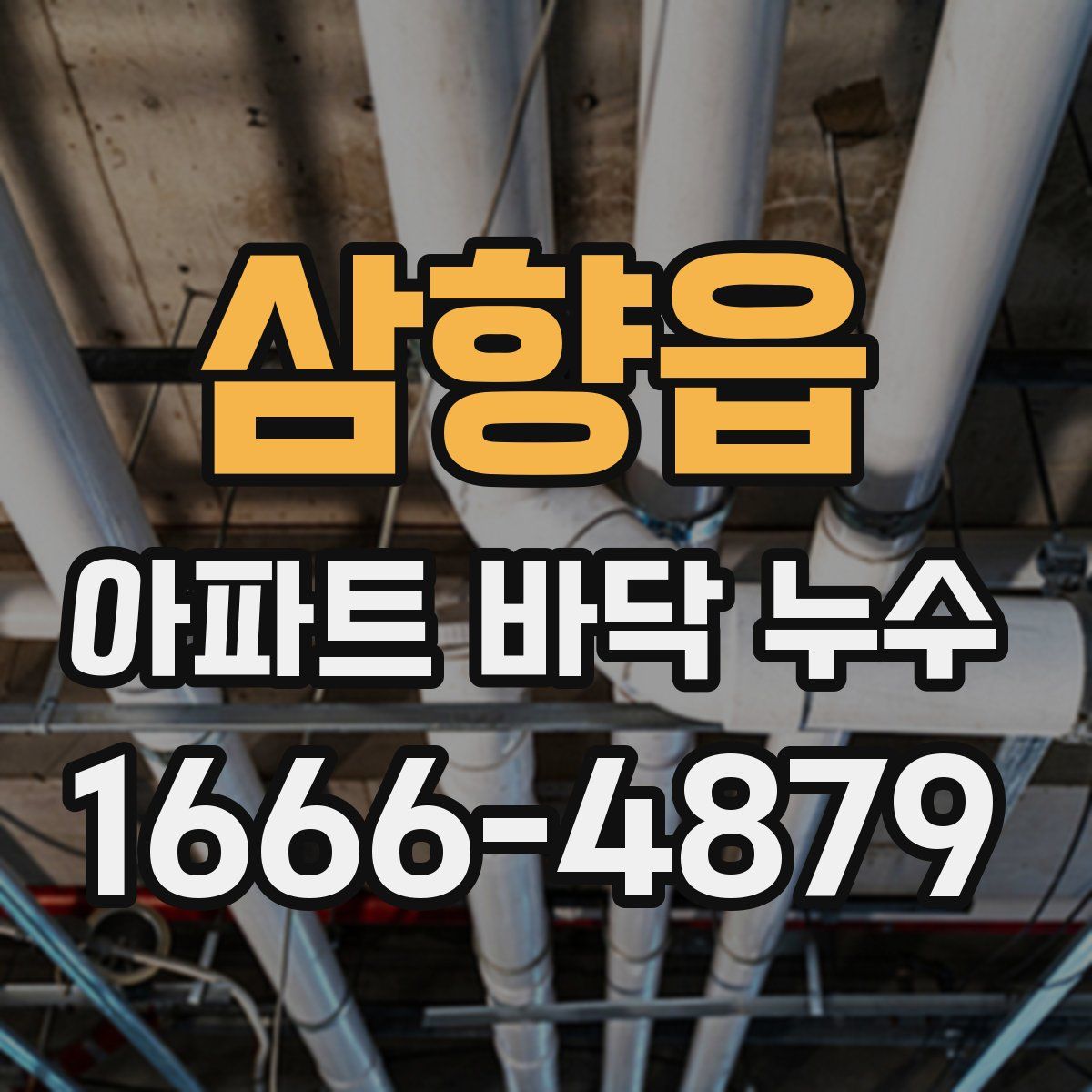 삼향읍 아파트 바닥 누수