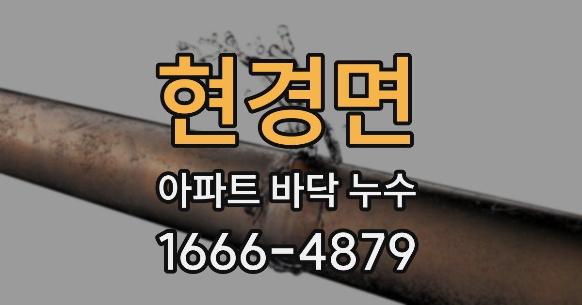 현경면 아파트 바닥 누수