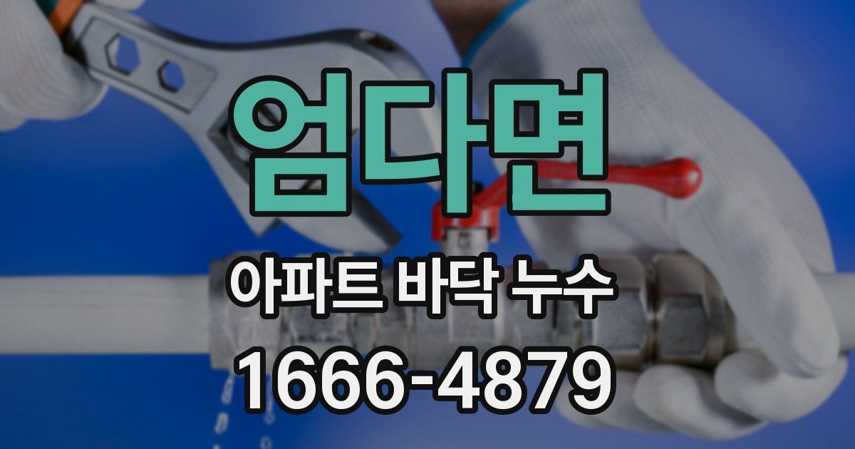 엄다면 아파트 바닥 누수