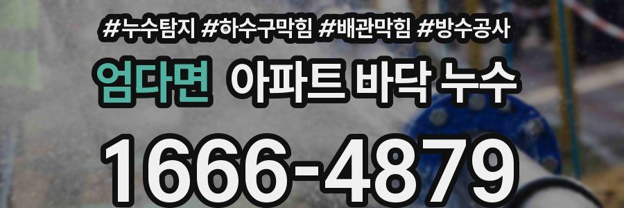 엄다면 아파트 바닥 누수