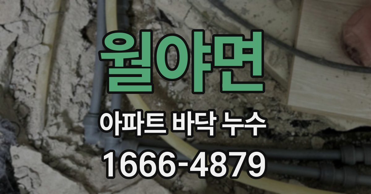 월야면 아파트 바닥 누수