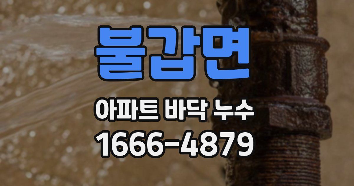 불갑면 아파트 바닥 누수