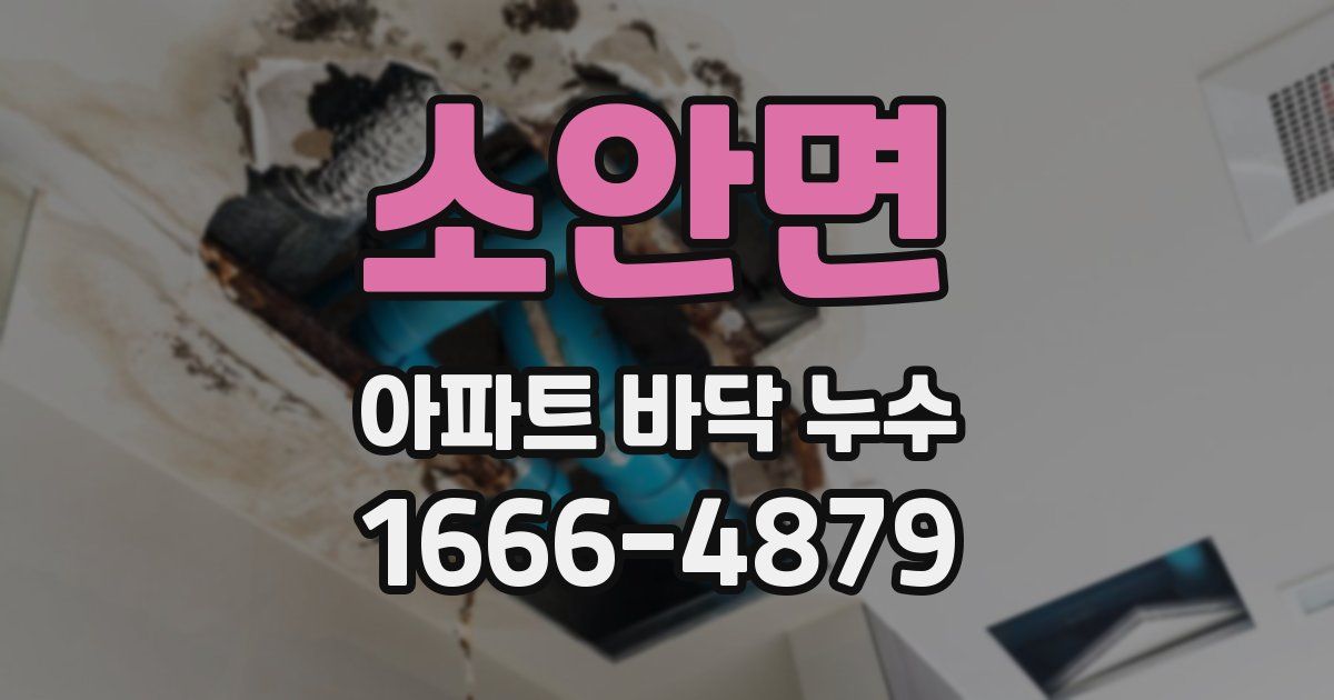 소안면 아파트 바닥 누수