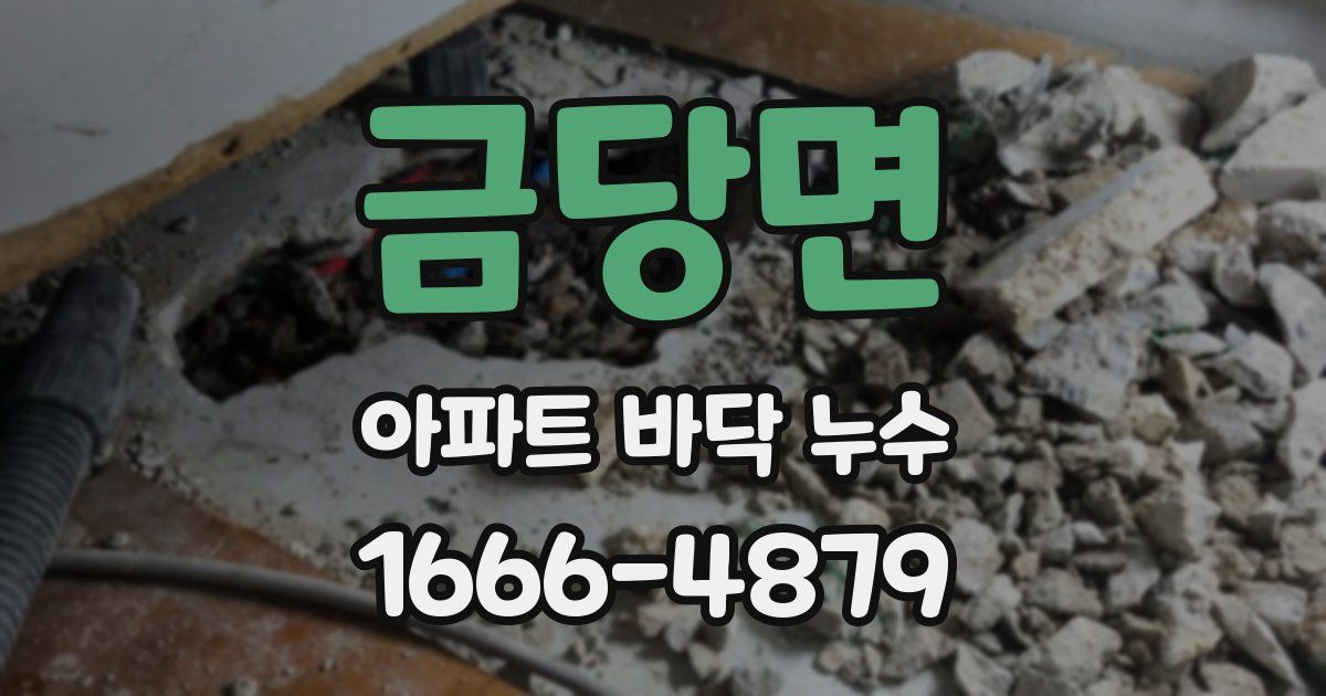 금당면 아파트 바닥 누수