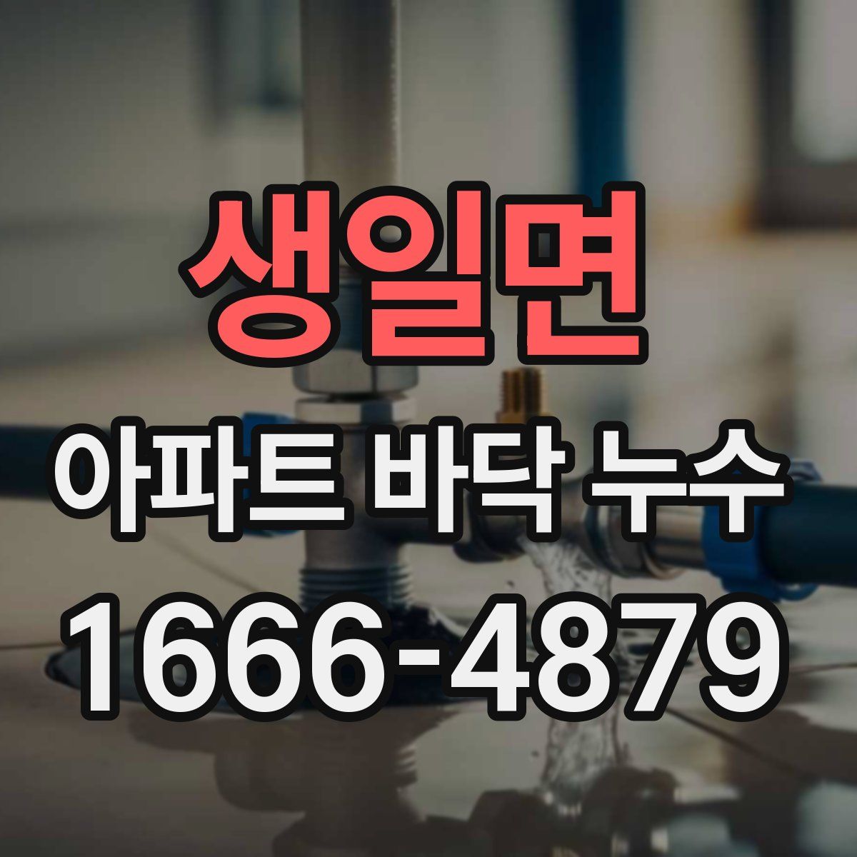 생일면 아파트 바닥 누수