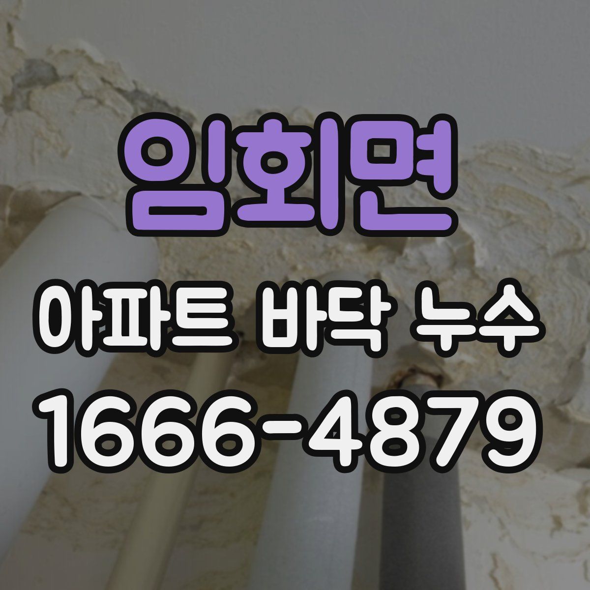 임회면 아파트 바닥 누수