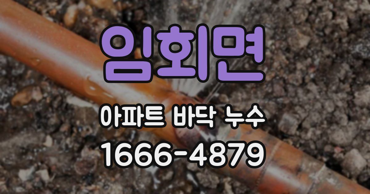 임회면 아파트 바닥 누수