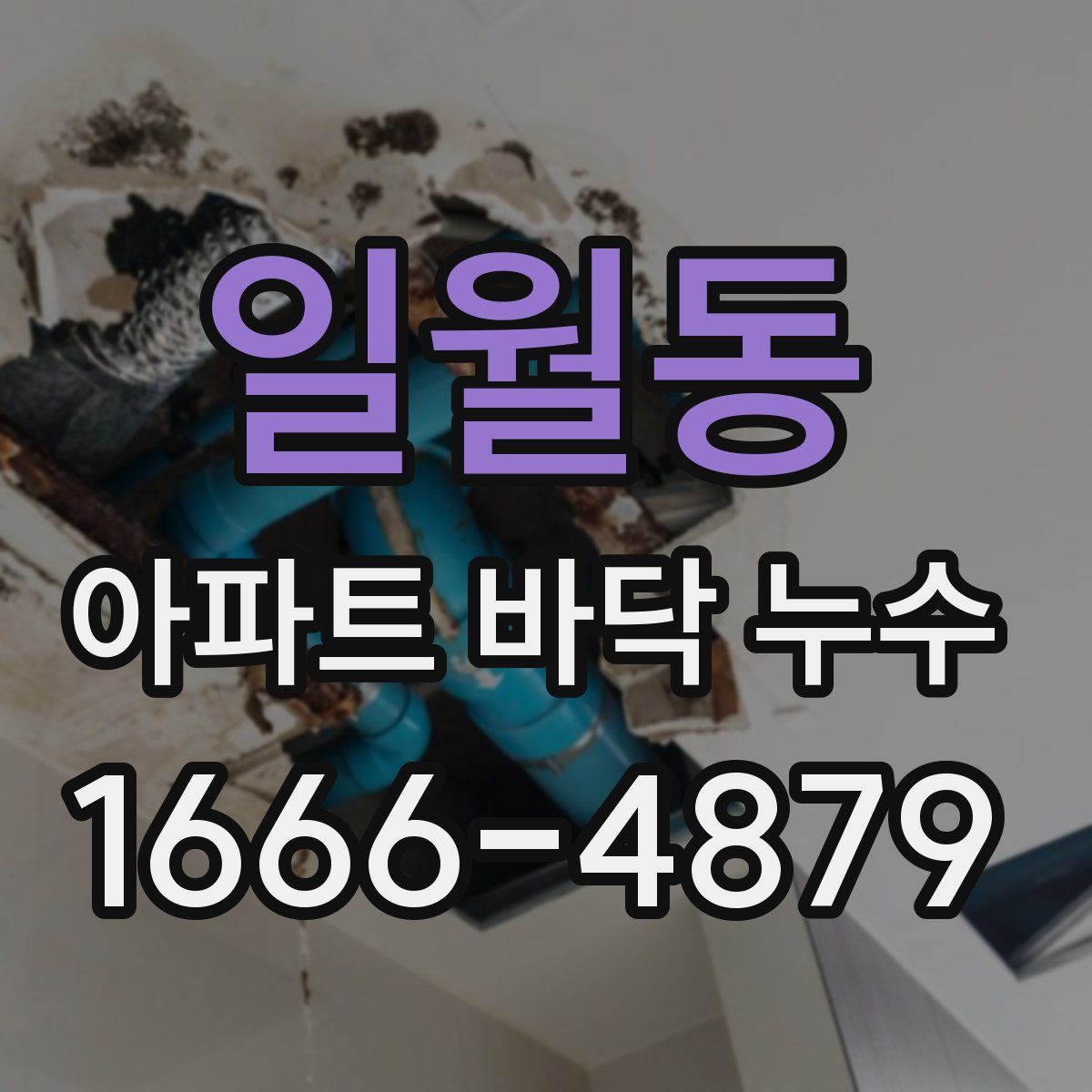 일월동 아파트 바닥 누수