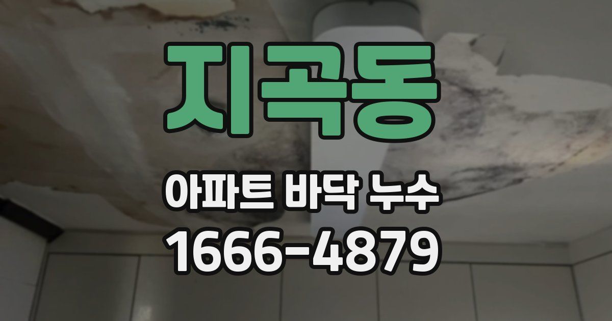 지곡동 아파트 바닥 누수