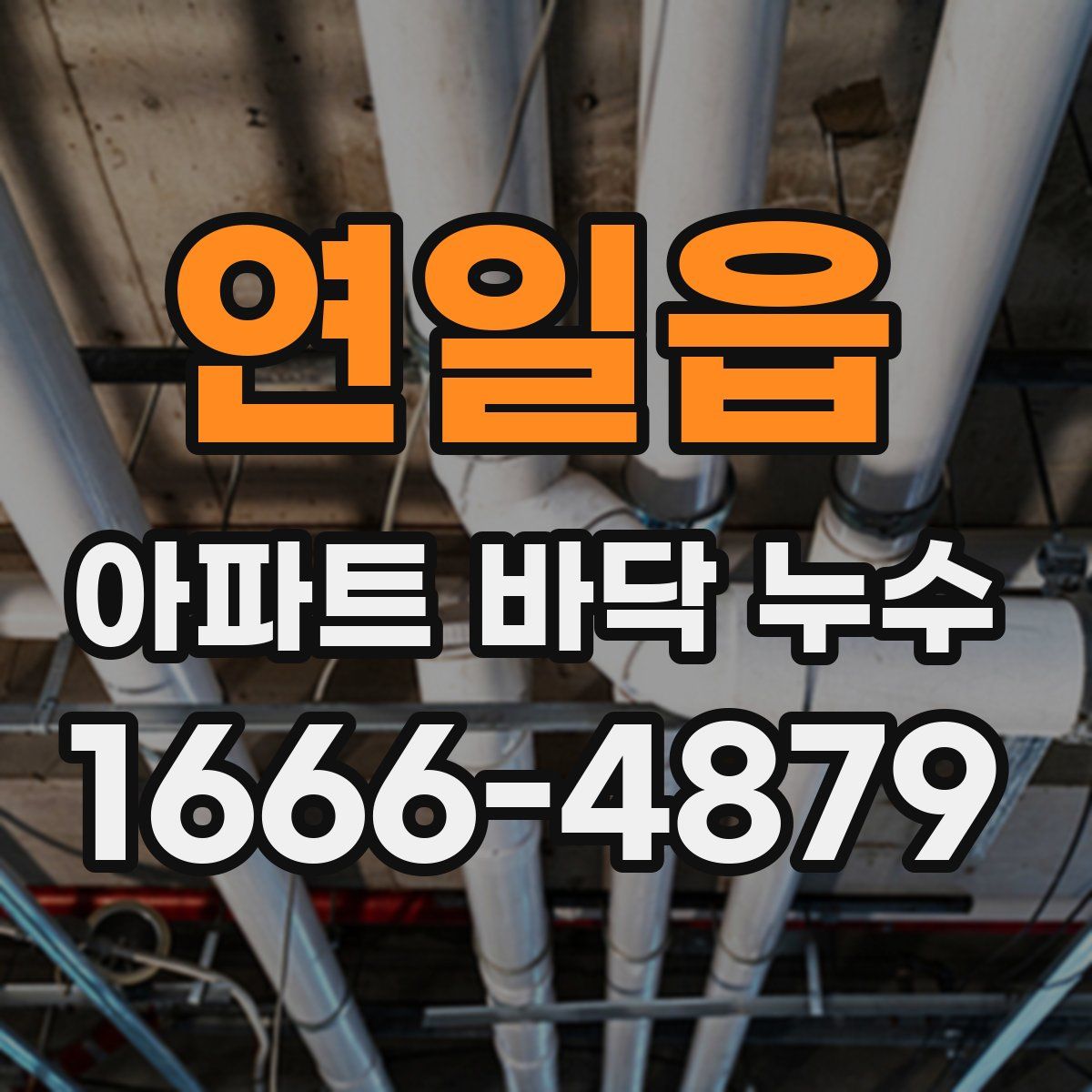 연일읍 아파트 바닥 누수