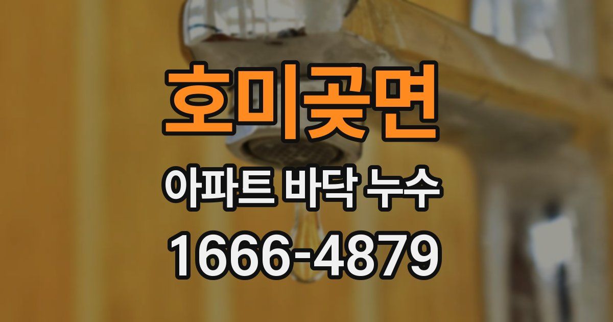 호미곶면 아파트 바닥 누수