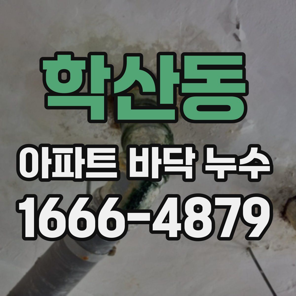 학산동 아파트 바닥 누수