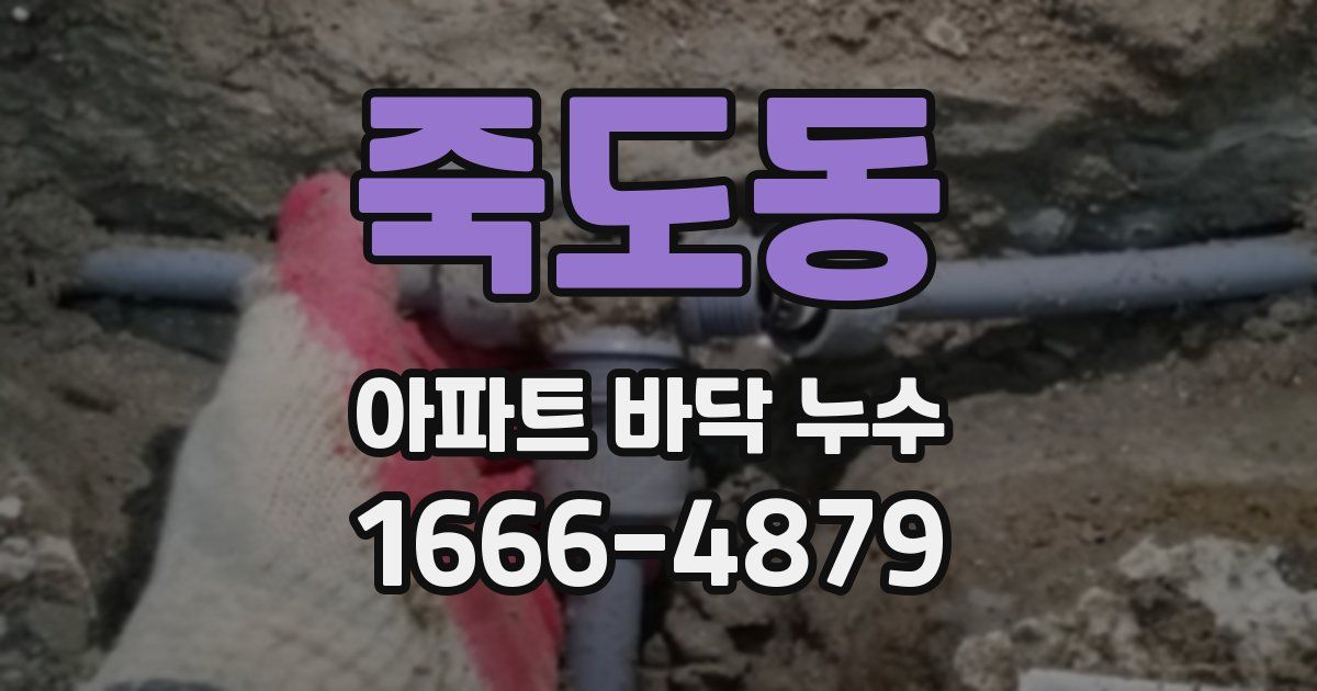 죽도동 아파트 바닥 누수